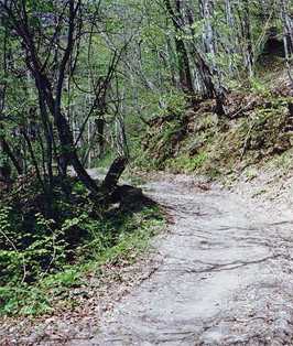 Дорога на Грачевский перевал